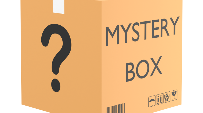 We Just Un-Packed Our First “Bando Box” & What’s Inside Blew Our Minds!