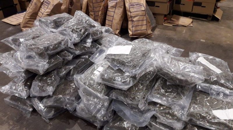 Massive Cannabis Seizure Worth 2.5 Million Pounds Uncovered in Dundalk, Ireland!